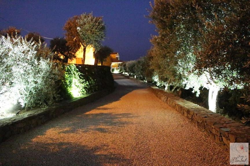 Quinta Do Pombal - Douro - Camila'S Βίλα Lamego Εξωτερικό φωτογραφία